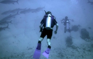 Diversion bajo el agua